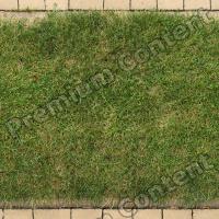 photo texture of grass seamless 0005